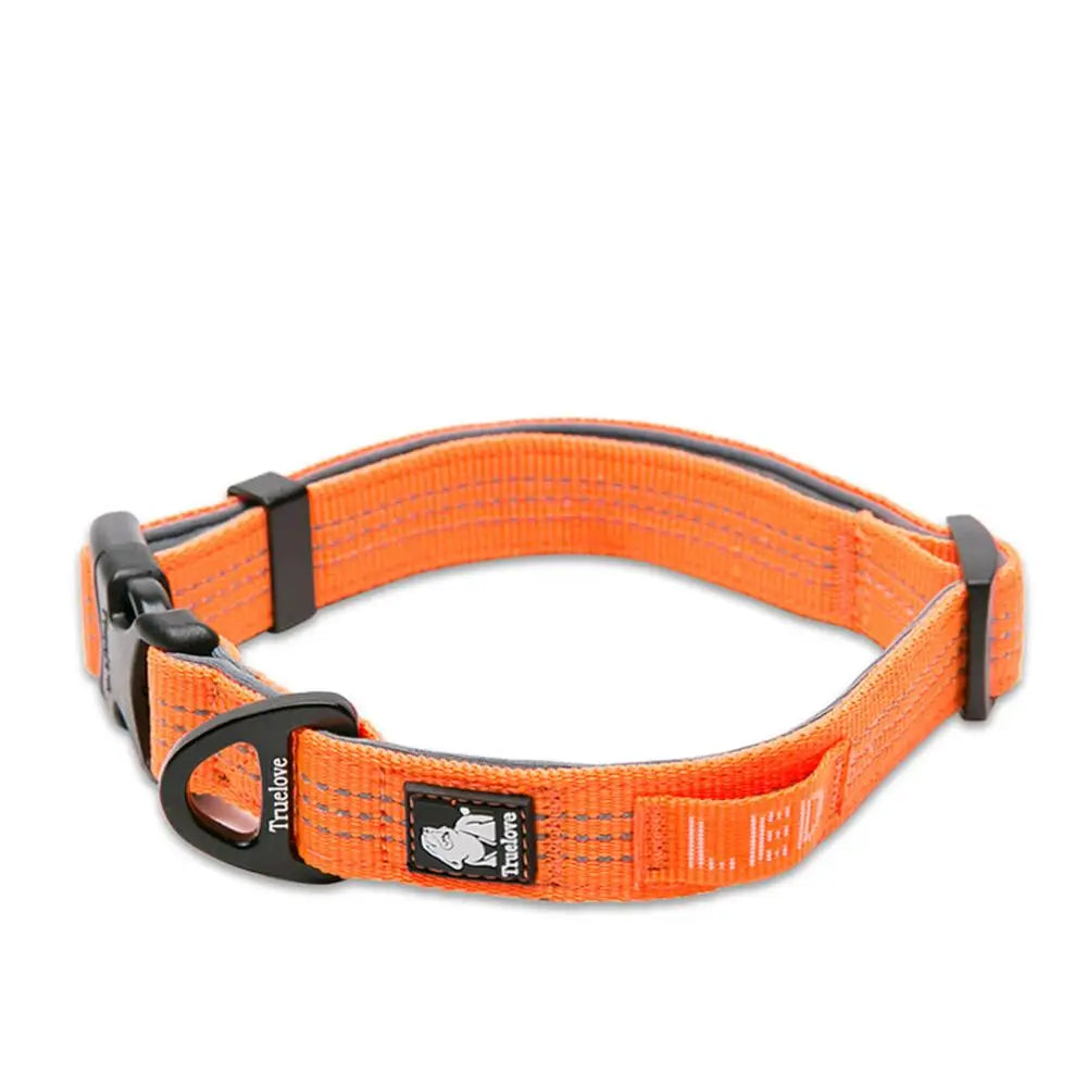 MyHappyPaws⢠LED Reflective Safety Collar