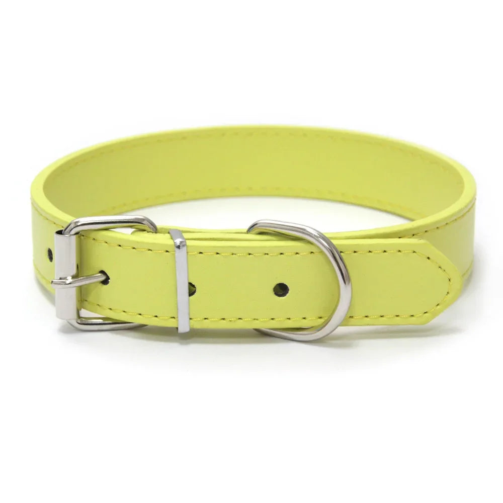 MyHappyPaws⢠Colorful Pet Collar