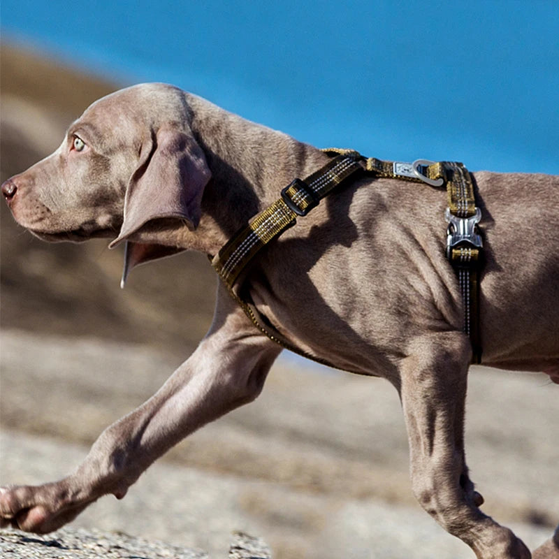MyHappyPaws™ Premium Truelove Harness