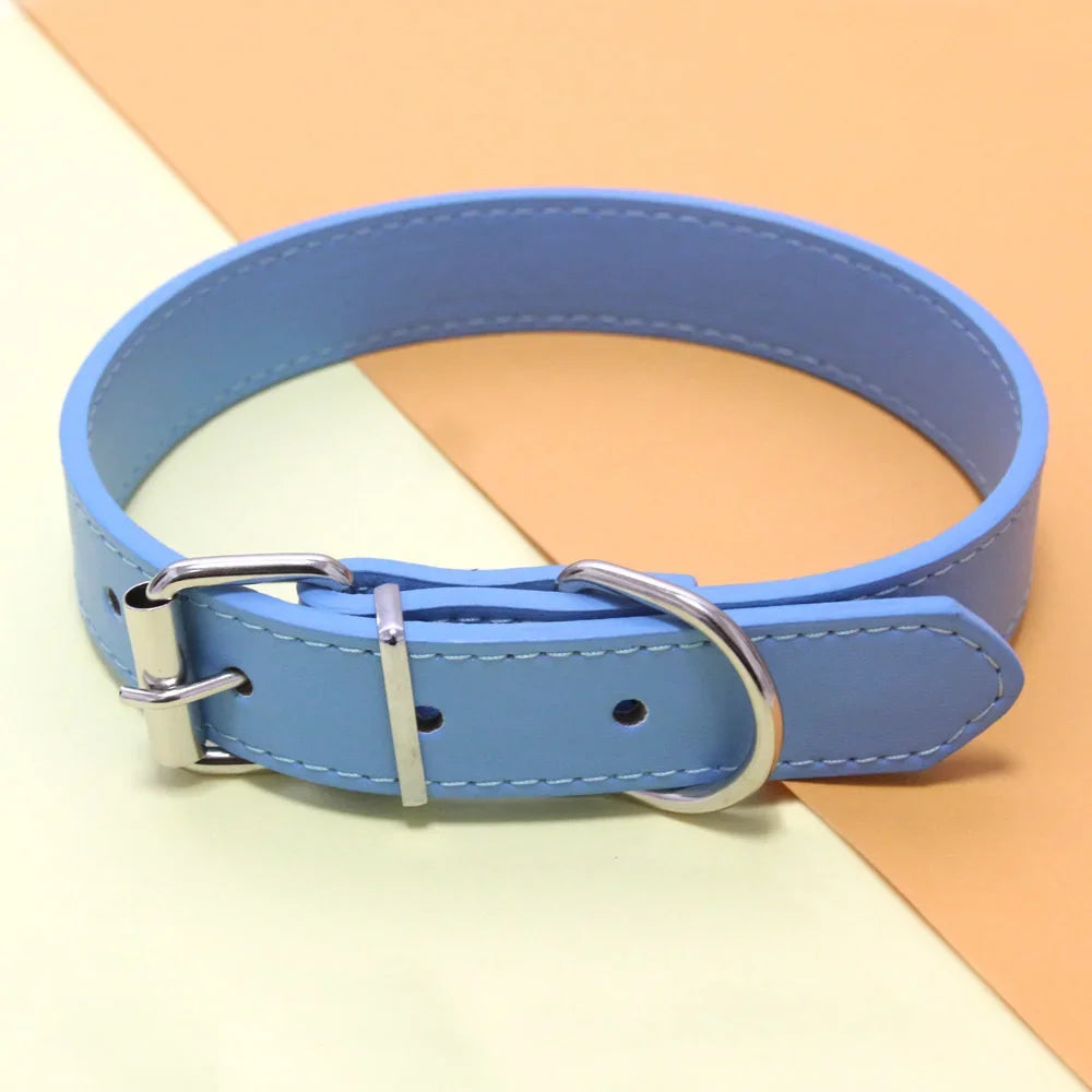 MyHappyPaws⢠Colorful Pet Collar