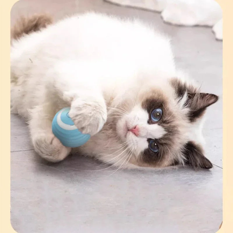 MyHappyPaws™ Smart Motion Cat Ball
