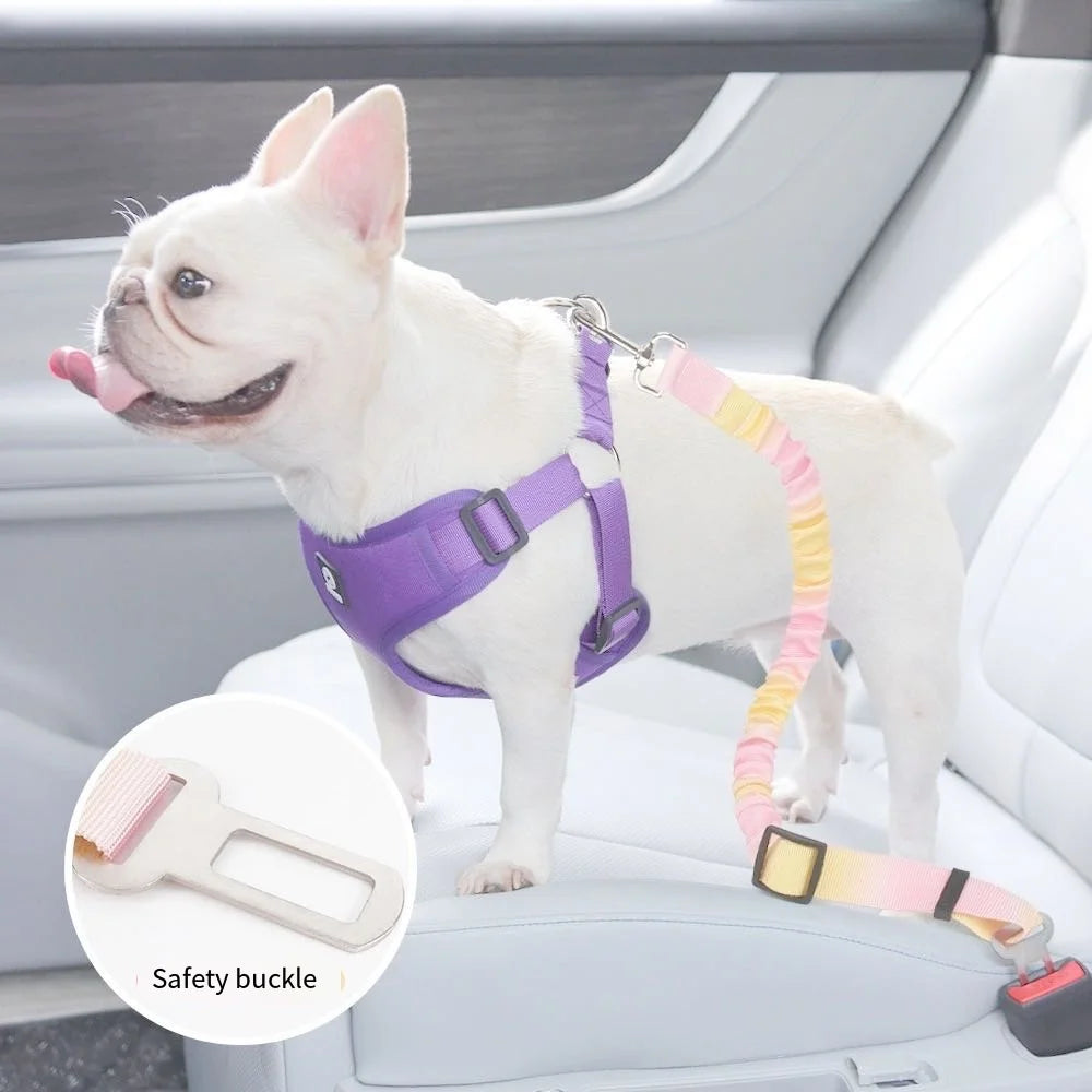 MyHappyPaws™ Rainbow Car Seat Belt for Pets
