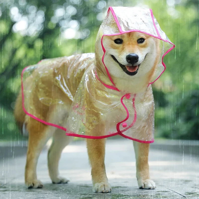 🐾 MyHappyPaws™ Clear Dog Raincoat 💧 Stay Dry. Stay Stylish!