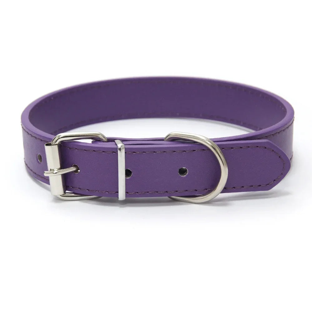 MyHappyPaws⢠Colorful Pet Collar