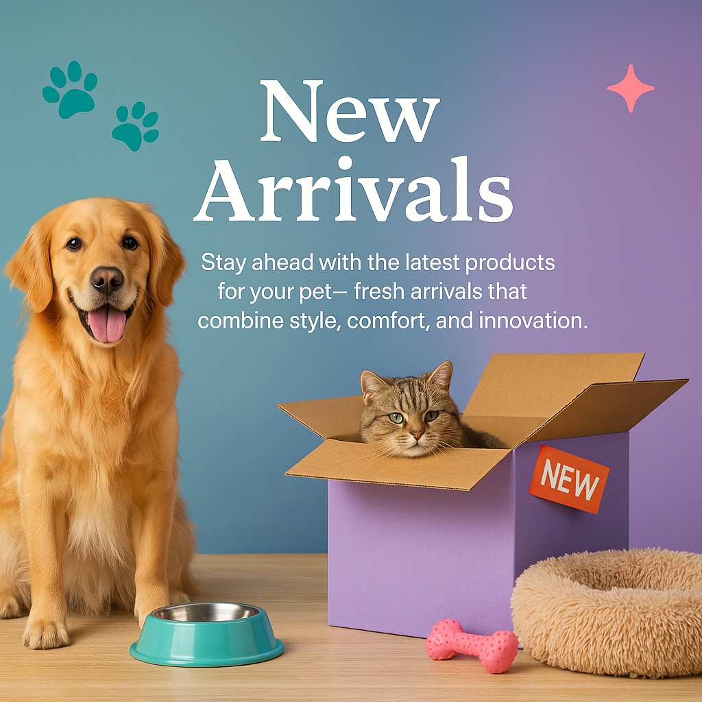 🆕 New Arrivals