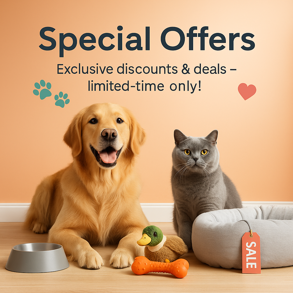 💸 Special Offers