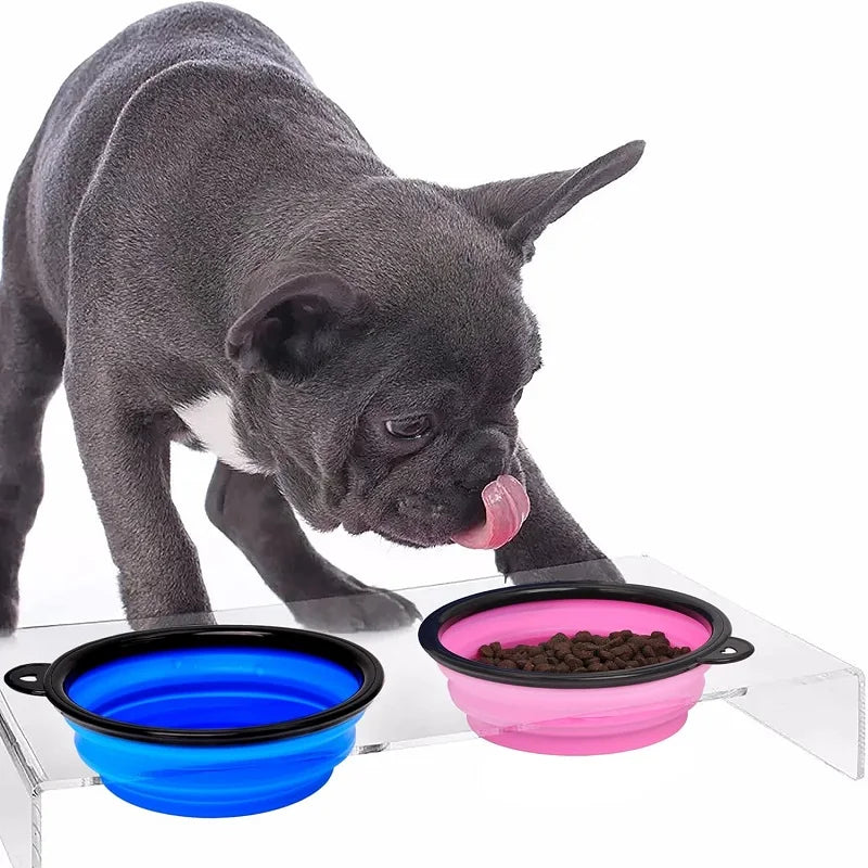 🐶 MyHappyPaws™ Collapsible Pet Bowl