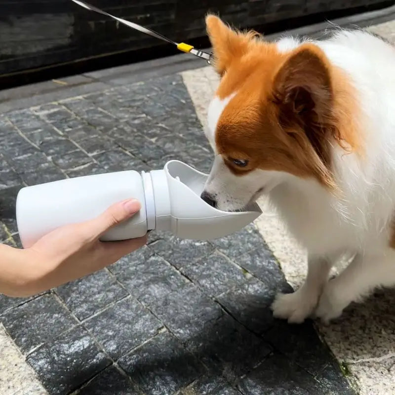 🐾 MyHappyPaws™ Foldable Pet Water Bottle