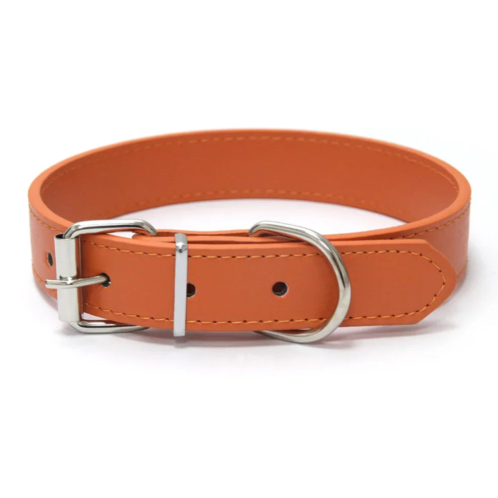 MyHappyPaws™ Colorful Pet Collar