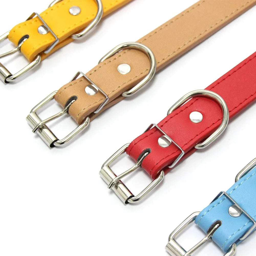 MyHappyPaws™ Colorful Pet Collar
