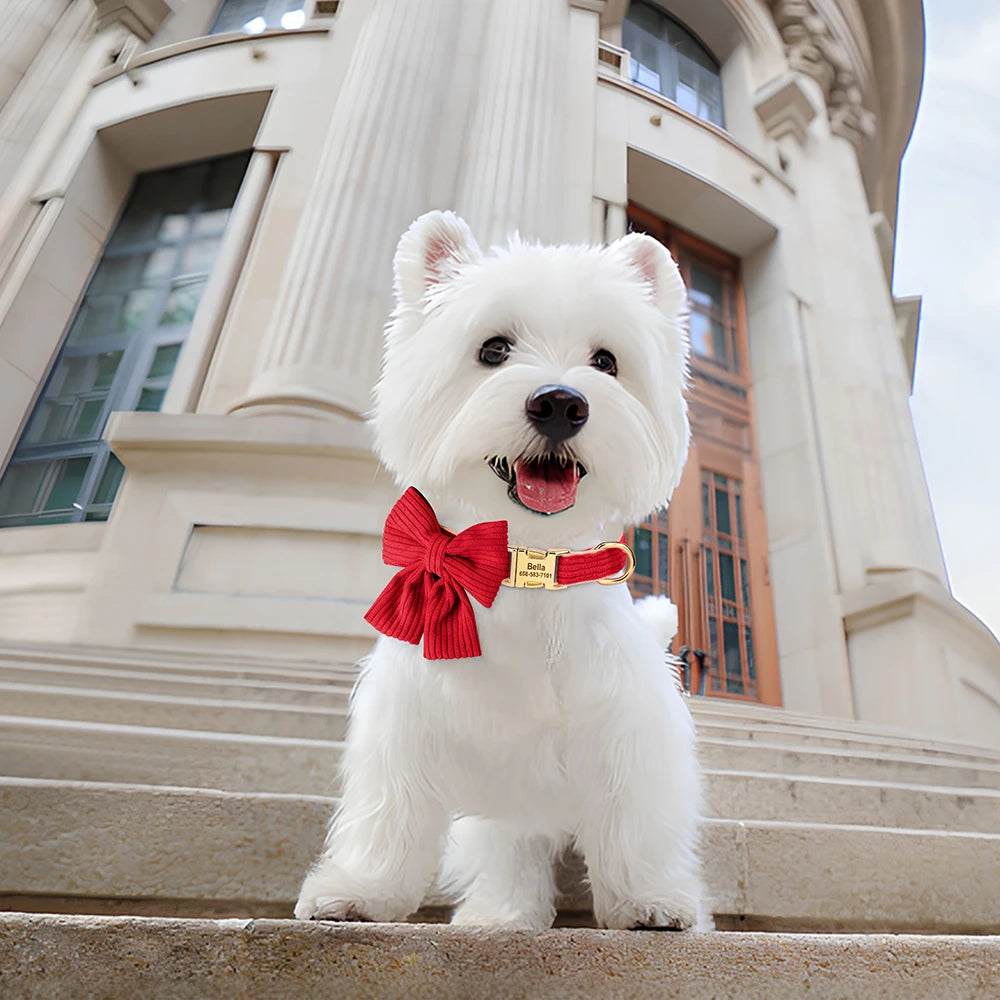 Elegant Bow Collar — Because Every Pet Deserves Style