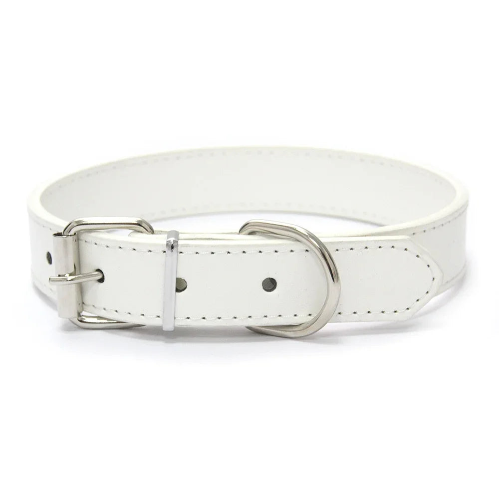 MyHappyPaws™ Colorful Pet Collar