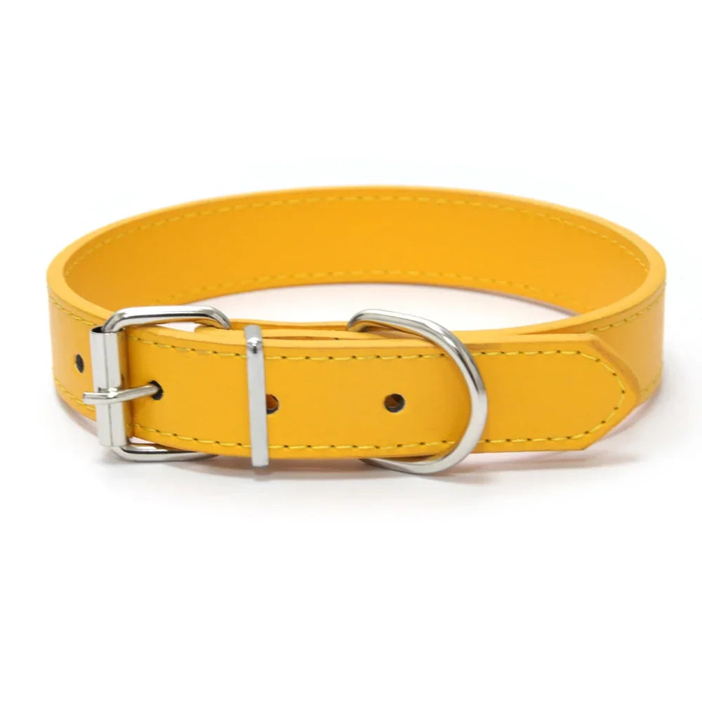 MyHappyPaws™ Colorful Pet Collar