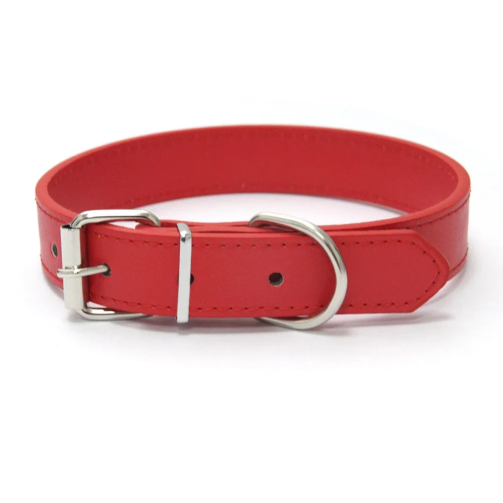 MyHappyPaws™ Colorful Pet Collar